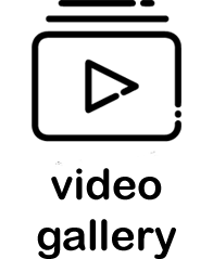 link